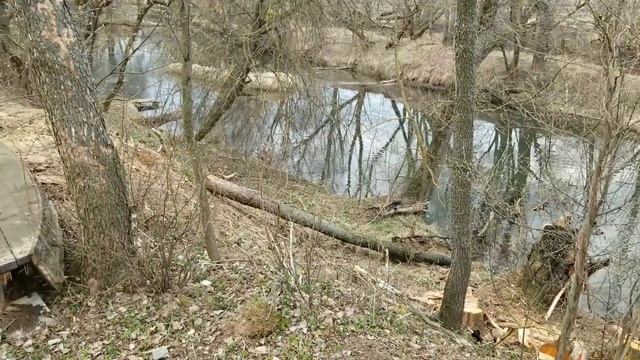 Mitsubishi Pajero 4 вытаскивает дерево из реки из оврага смотреть онлайн