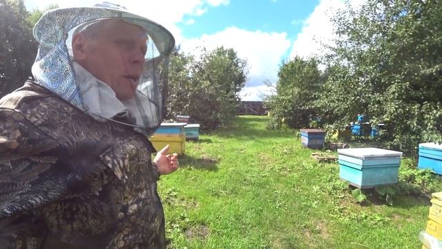 ТРИ ОСНОВНЫЕ РАБОТЫ В АВГУСТЕ НА МОЕЙ ПАСЕКЕ смотреть онлайн