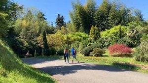 Ботанический Сад Батуми