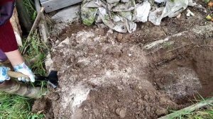 Сажаем Виноград в Песок ? Часть 1 ? Сорт НАДЕЖДА