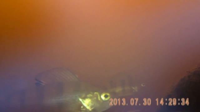 Дома у Окуня... смотреть онлайн