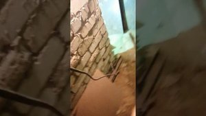Дрл лампа. Лучи смерти. Дезинфекция подвала ультрафиолетом.