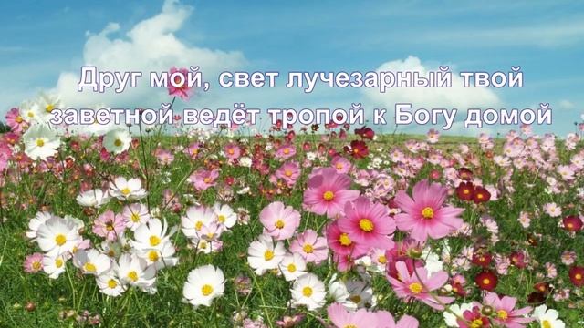 Песня медитация вальс Сен -Жермена  №237#фиолетовоепламя #медитация #релаксация