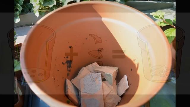 Episode 76-Patio Lilies in Containers смотреть онлайн