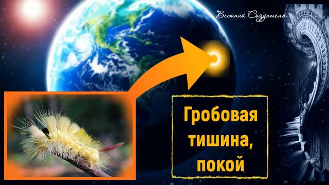 Путешествие вглубь земли, гробовая тишина покой
