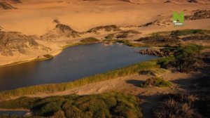 Исчезающие цари. Львы пустыни Намиб. 2 части