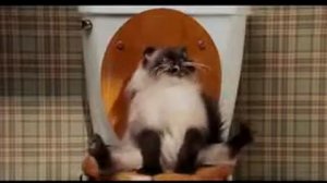 Отрывок из "Очень Эпичное Кино"