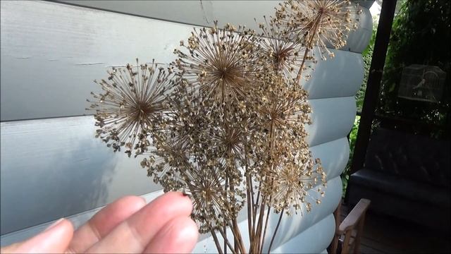 ///Готовь сани летом///Зимние букеты/// смотреть онлайн