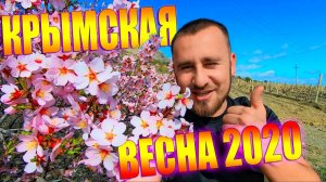 КРЫМСКАЯ ВЕСНА 2020. ЖАРА В КРЫМУ.