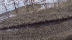 На Ниве вдоль Кусинского городского пруда - до Ивушек