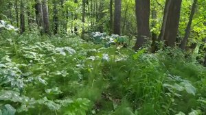 Стройка балагана, рыбалка!