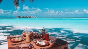 Morning music 15 (20).