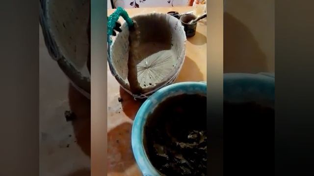 Лебедь из цемента. Подробный МК. смотреть онлайн