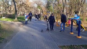 ОДЕССА | ДЕРЕВЯННЫЕ СКУЛЬПТУРЫ ПАРКА М. ГОРЬКОГО