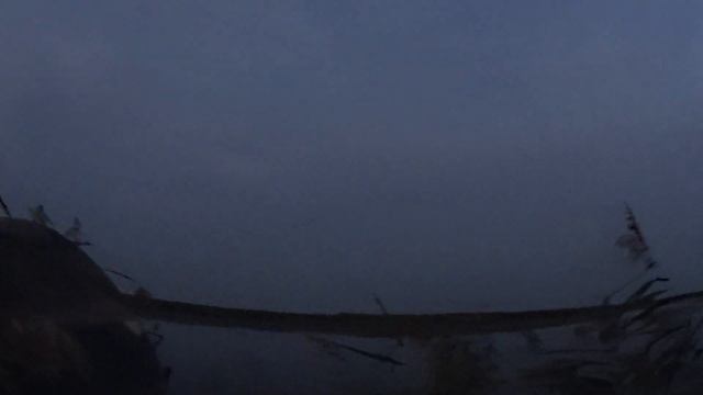 Открытие охоты на утку В КРЫМУ!2022год.Утрянка и вечерка! смотреть онлайн