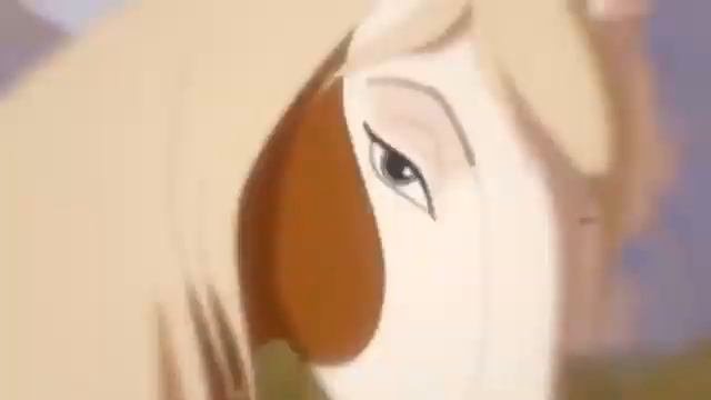 Спирид...душа прерий🐎