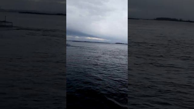 Река Амур. Высокий уровень воды