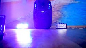 Концертные колонки