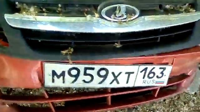 Автокладбище брошенных и разбитых машин! Самара
