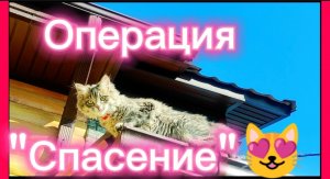 Операция "спасение" 😊