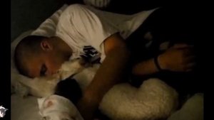 238. Почему нельзя пускать собаку в кровать? Можно ли собаке лежать на диване?