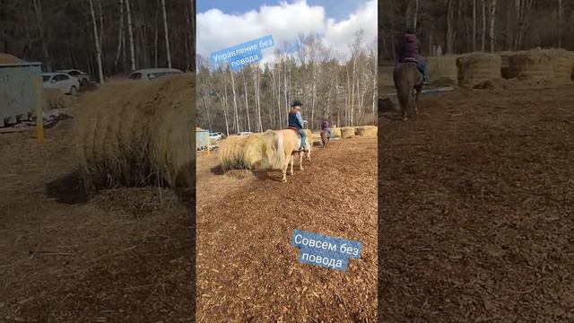 Управление корпусом. Вестерн лошадь