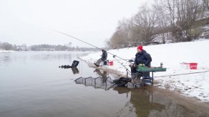 есть ошибки, рыбы нет