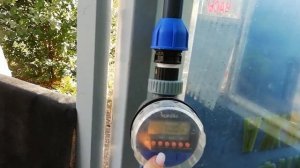 Рассада клубники готова, плановые работы на маточнике.