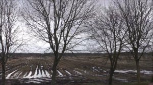 Idyllische Landschaft | Рассвет, наедине с природой 🌳