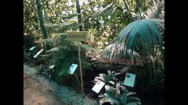 Ботанический сад. смотреть онлайн