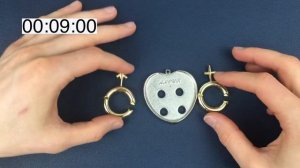 SOLVING THE AMOUR PUZZLE