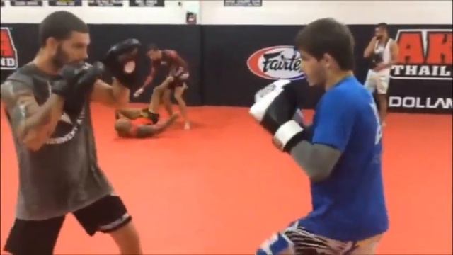 #4 Турнир на корабле, работа по лапам смотреть онлайн