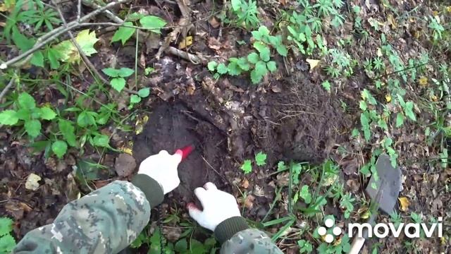 с деусом в лесу. Deus