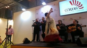 fitur19 cordoba flamenco