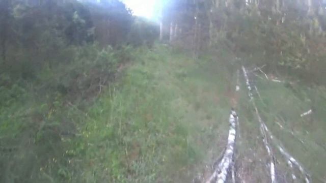 Охота на самца косули с гладкоствольным ружьем. Деревенский Волчонок#охотанакозла#касуля#трофей#