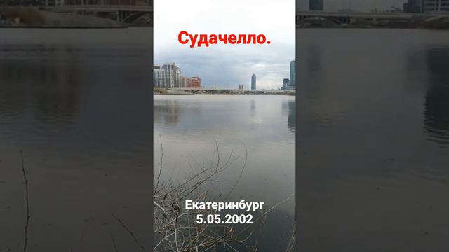 Судак на мясо Екатеринбург.