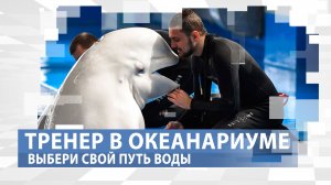 Укротитель водной стихии и морских млекопитающих. Профессия: тренер в океанариуме