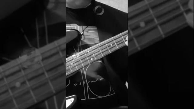 Californication (bass cover) #Shorts