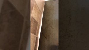 Плиточник в Сша. Как Укладывают Плитку Американские Строители