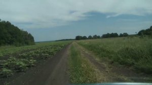 Опустевший посёлок Красный Затон, Хвалынский район.