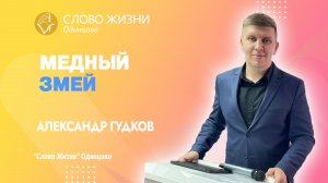 Александр Гудков: Медный змей / 02.07.23 / Церковь «Слово жизни» Одинцово