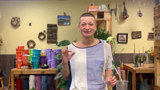 Гвоздика кустовая - нежная, недорогая, красивая. смотреть онлайн