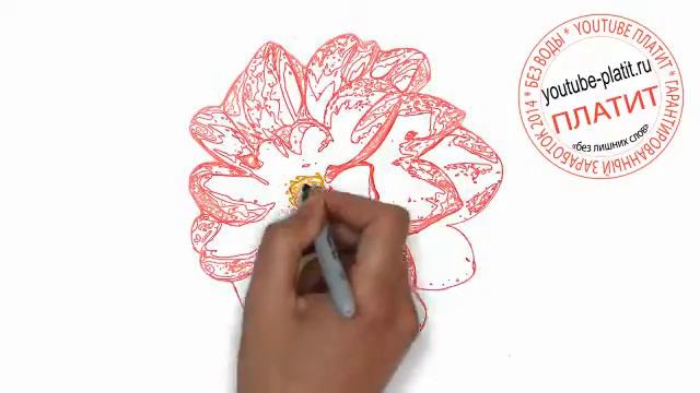 Как нарисовать цветок гвоздику смотреть онлайн