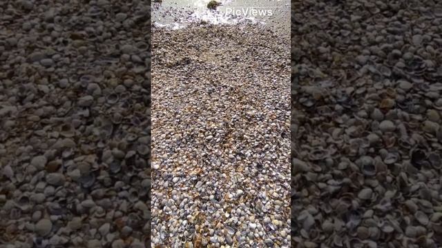 Анапа. Джемете. Какая обстановка сегодня на пляже море и погода 14 декабря 2023. Курорт зимой