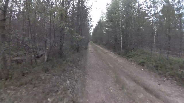"Спутник" Сосново(9) Драйв без защиты на эл.колесе по лесу. смотреть онлайн