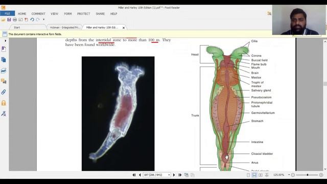 Phylum Gastrotricha, Micrognathozoa, Gnathostomulida, Rotifera & Acanthocephala (Urdu/Hindi) смотреть онлайн