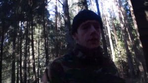 Строю хижину в лесу