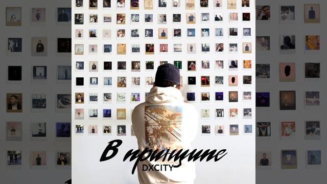 В принципе