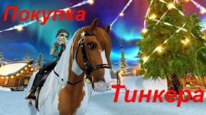 STAR STABLE. ПОКУПКА ОБНОВЛЕННОГО ТИНКЕРА