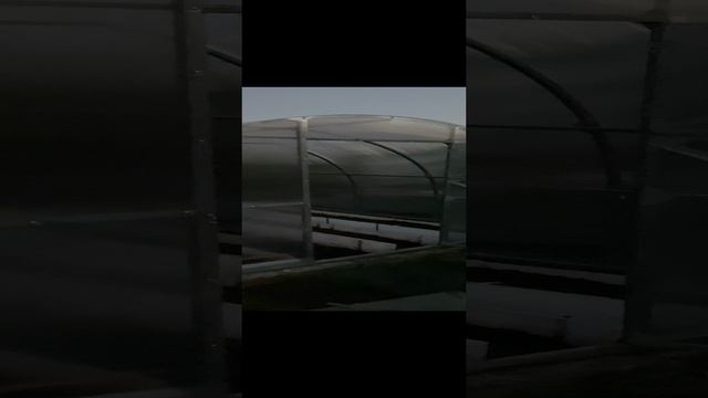 Замена поликарбоната часть 2